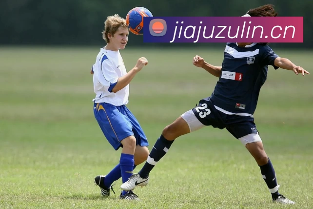 爱游戏平台官方官网服务体系