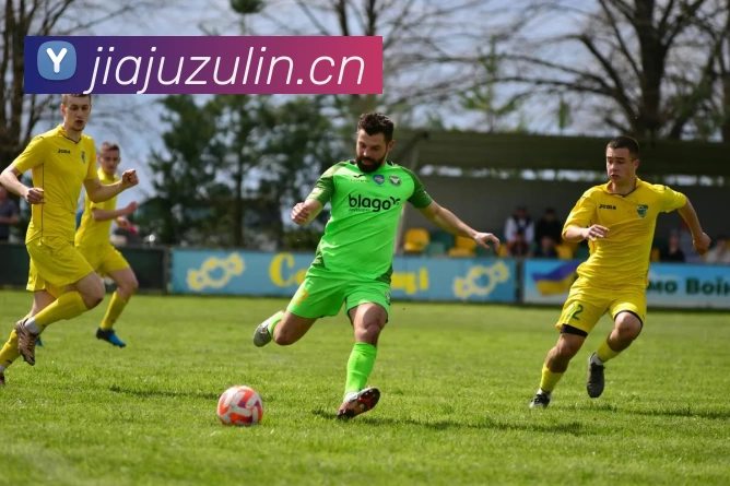 多媒体互动体验